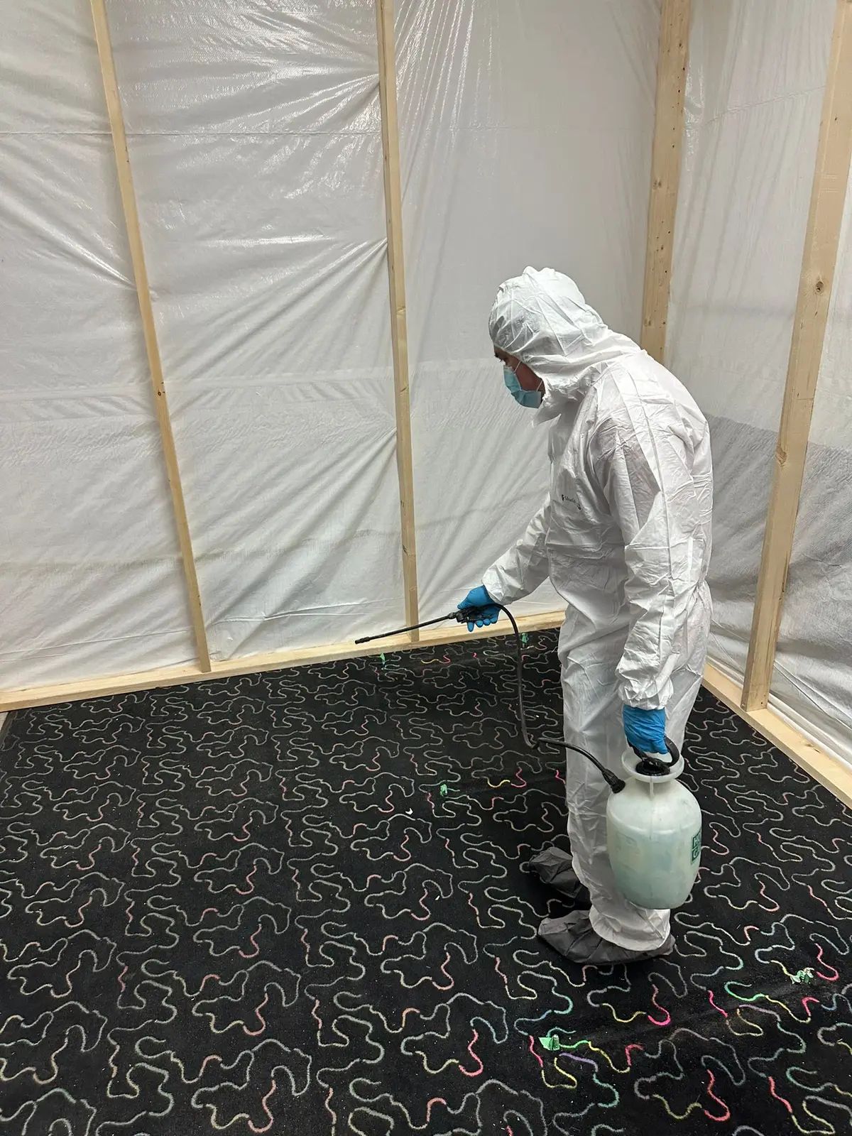 ActFAST mold remediation project