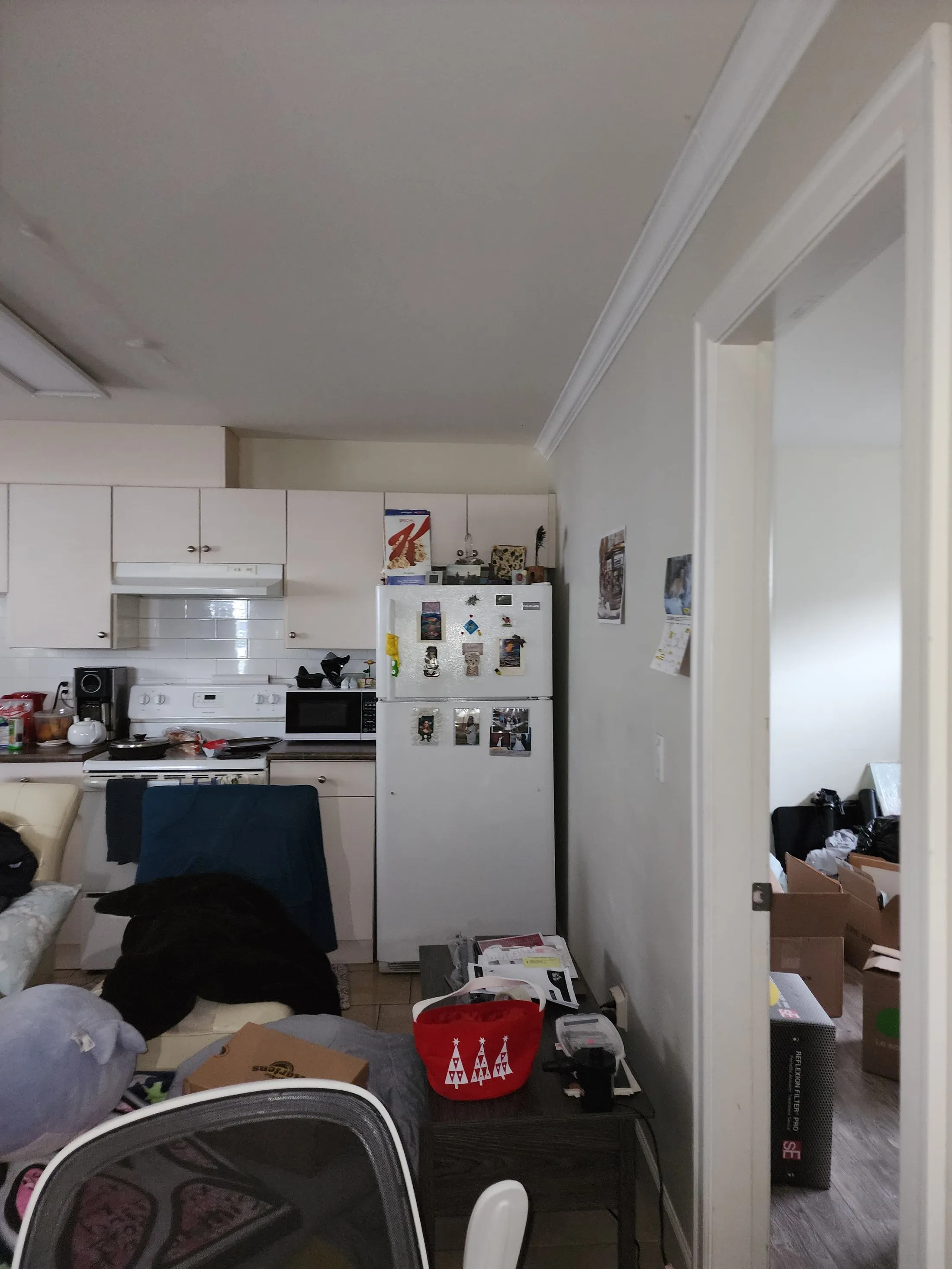EPS fire restoration: before photograph 14