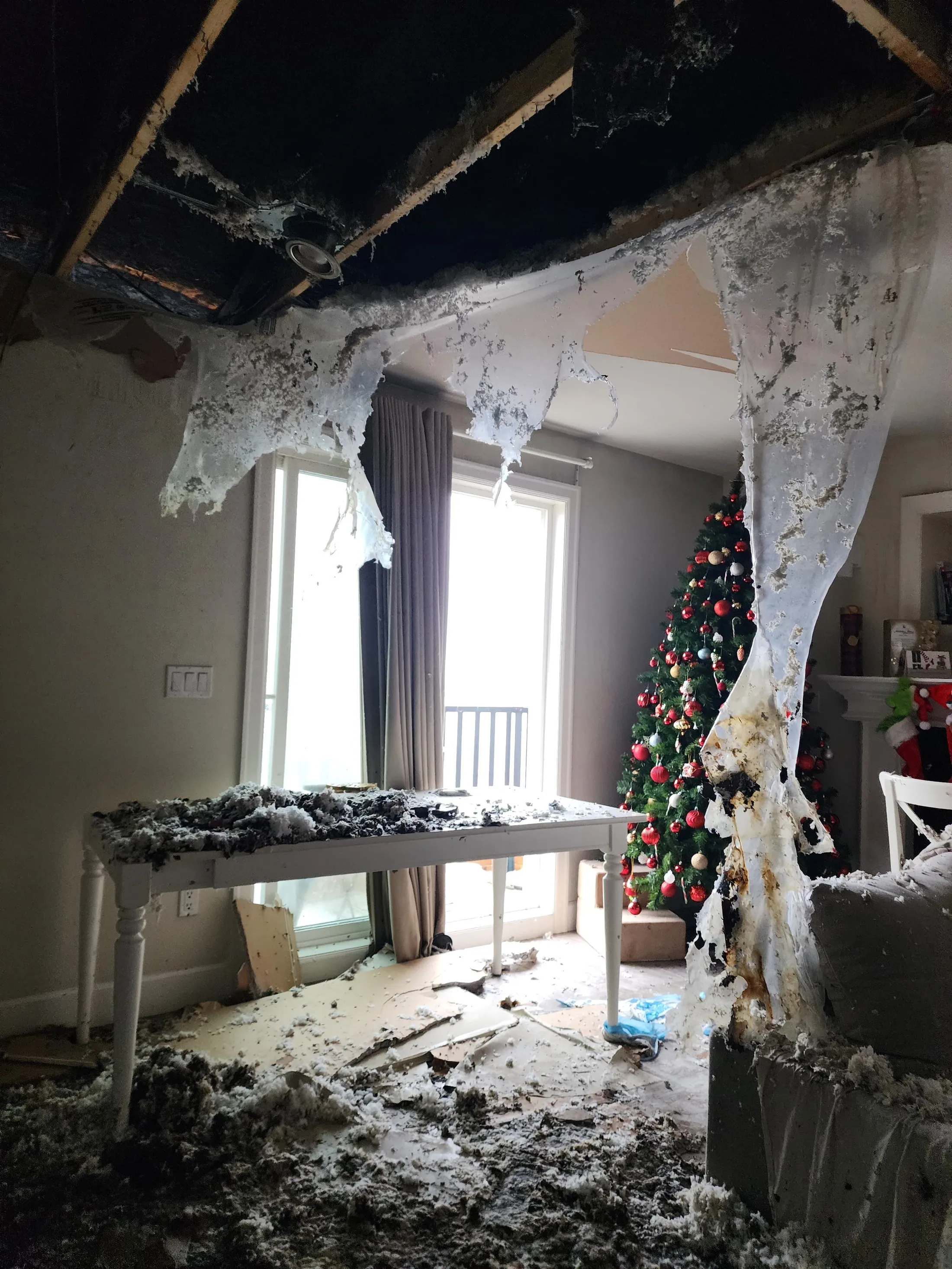 EPS fire restoration: before photograph 30