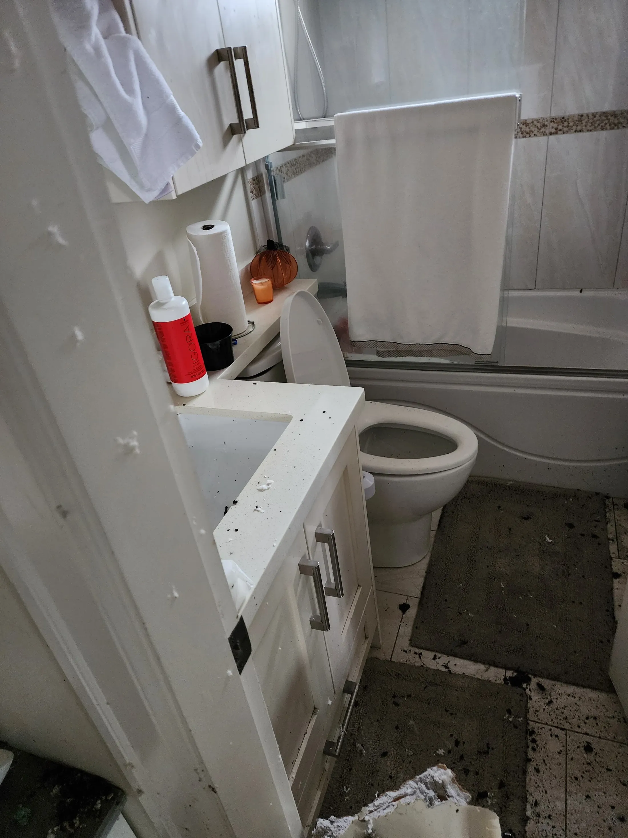 EPS fire restoration: before photograph 25