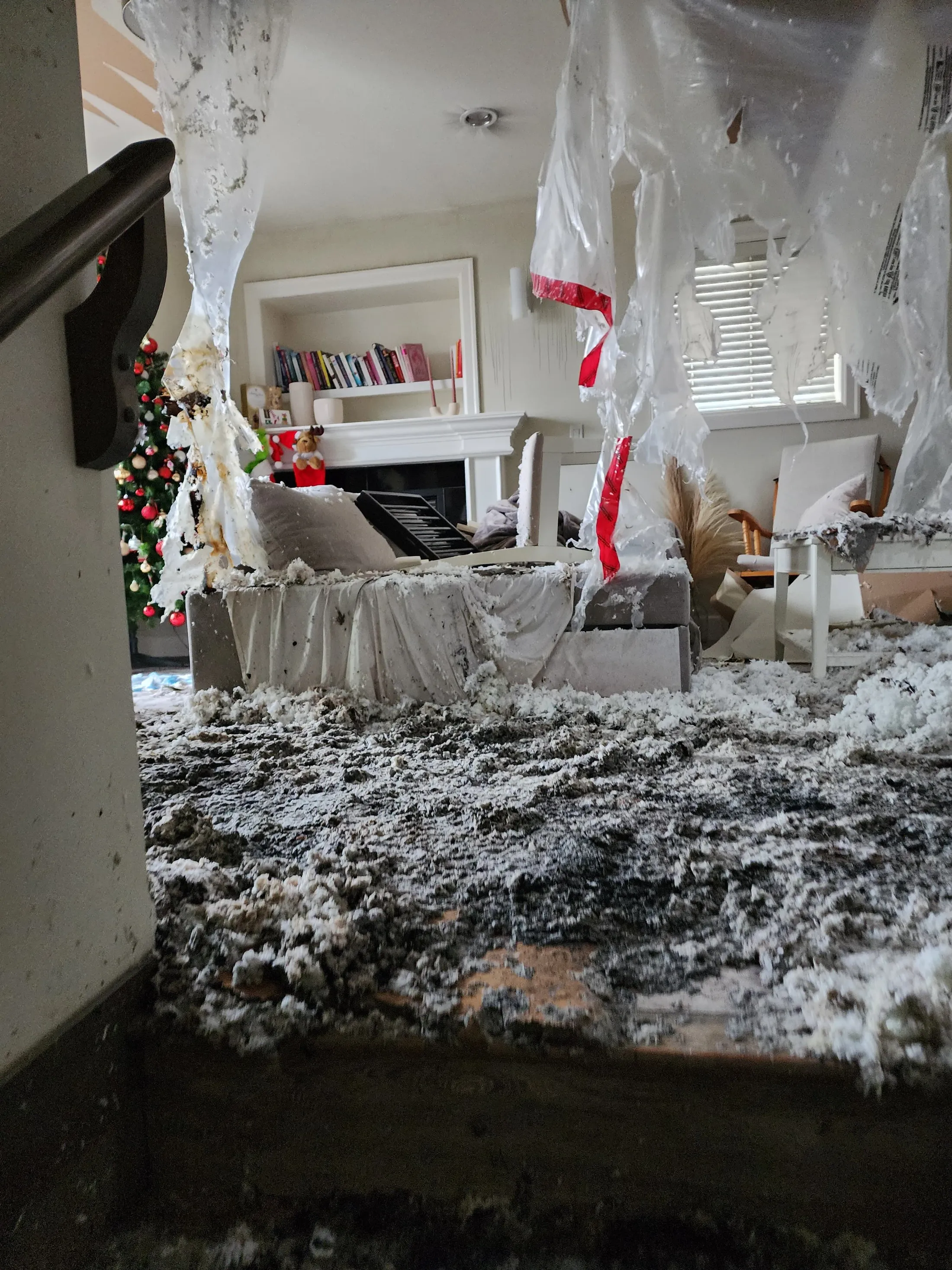 EPS fire restoration: before photograph 32