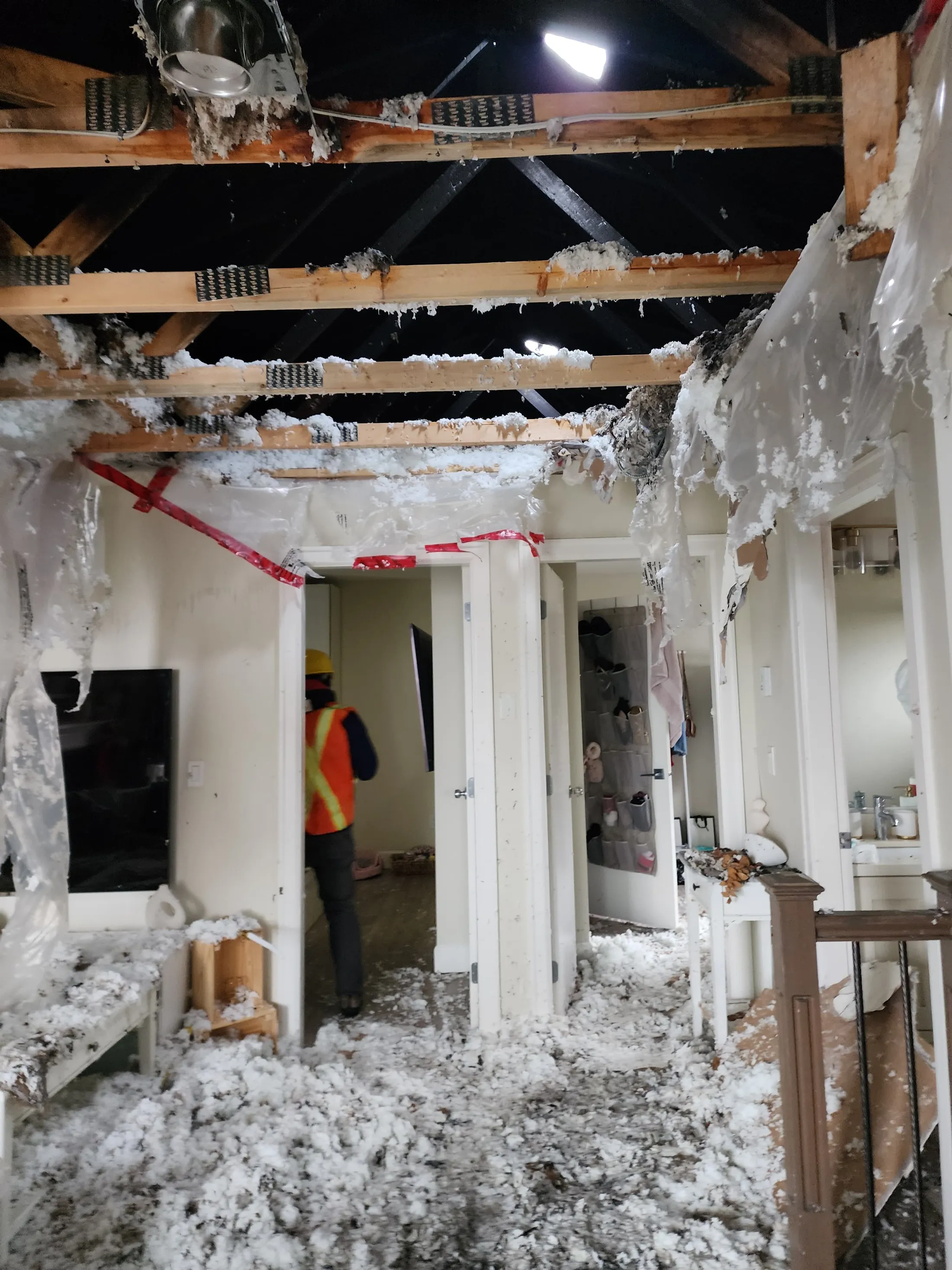 EPS fire restoration: before photograph 31