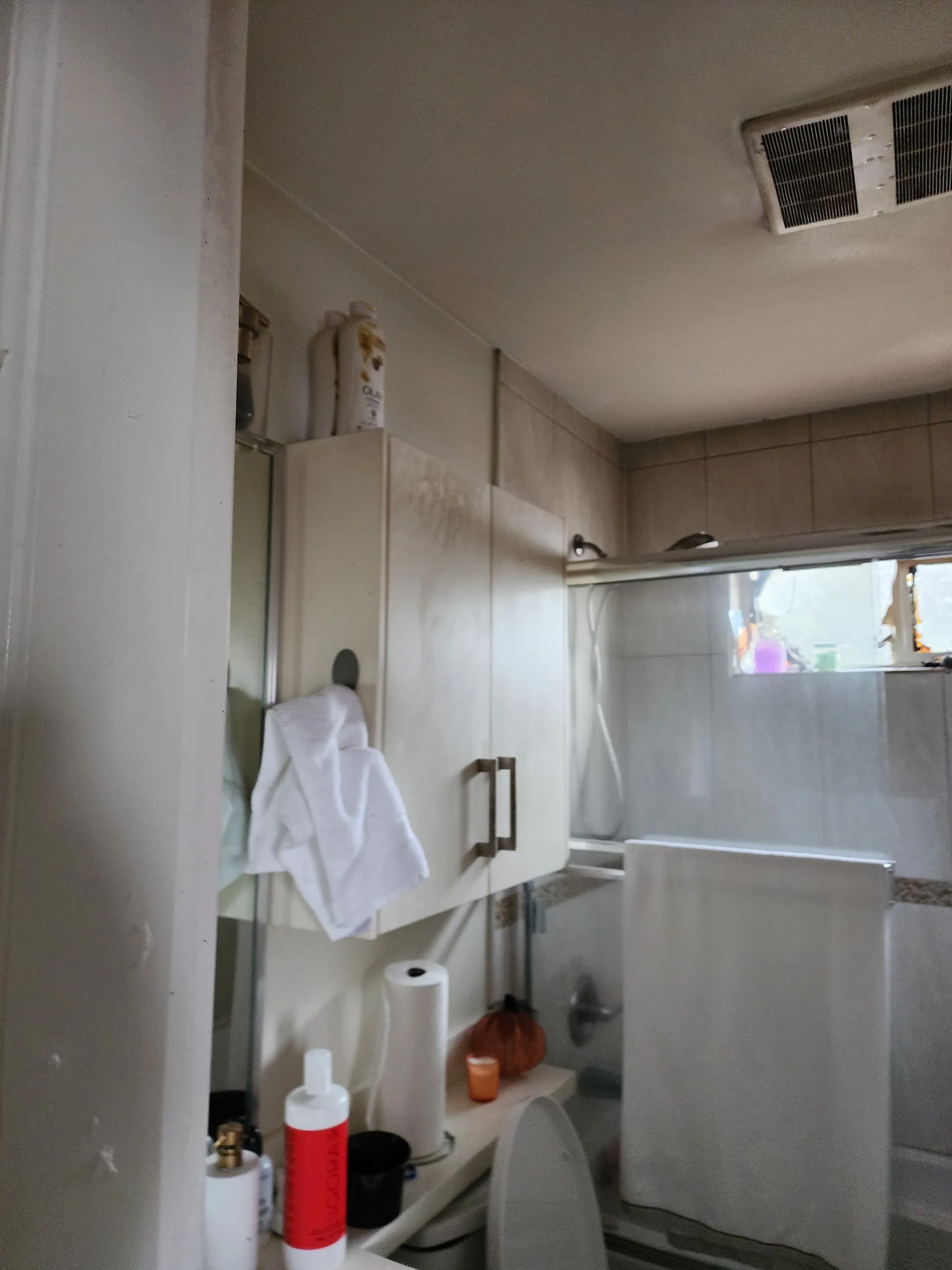 EPS fire restoration: before photograph 26