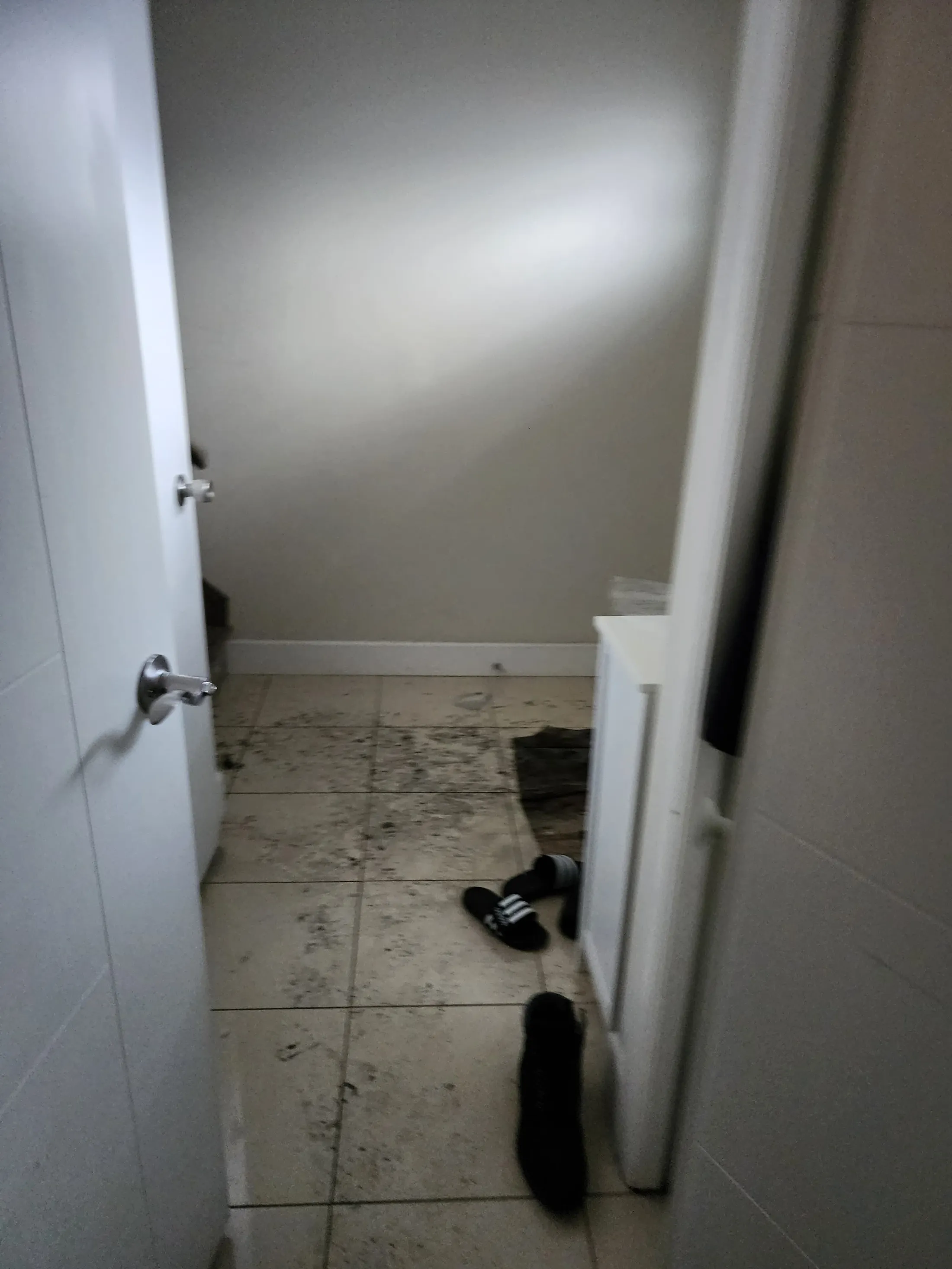 EPS fire restoration: before photograph 16