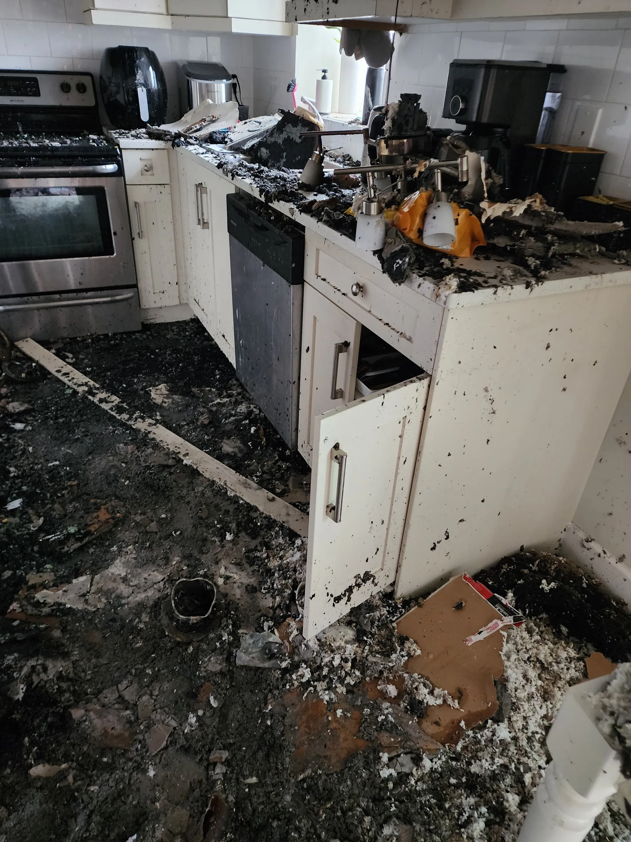 EPS fire restoration: before photograph 28