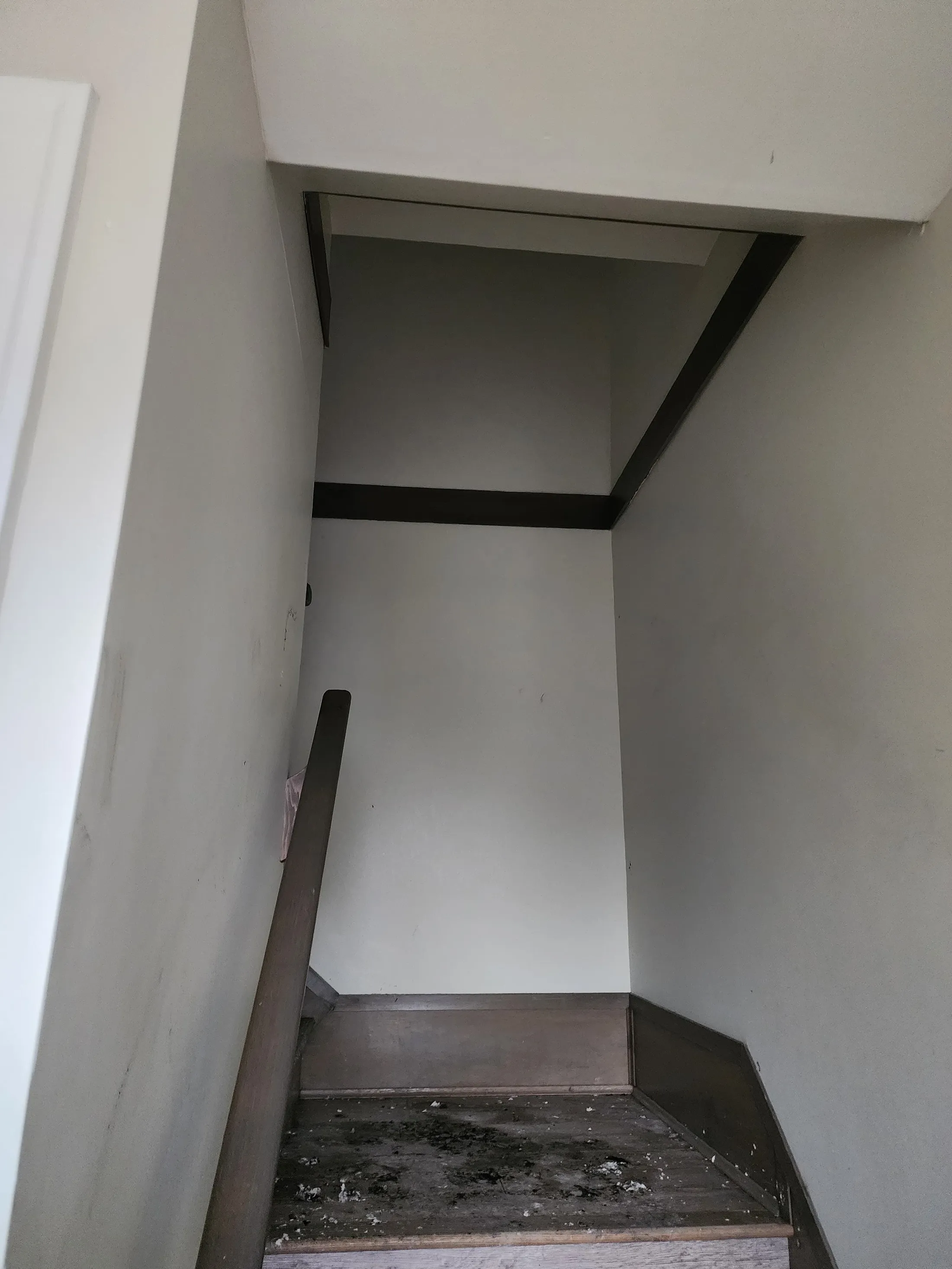 EPS fire restoration: before photograph 18