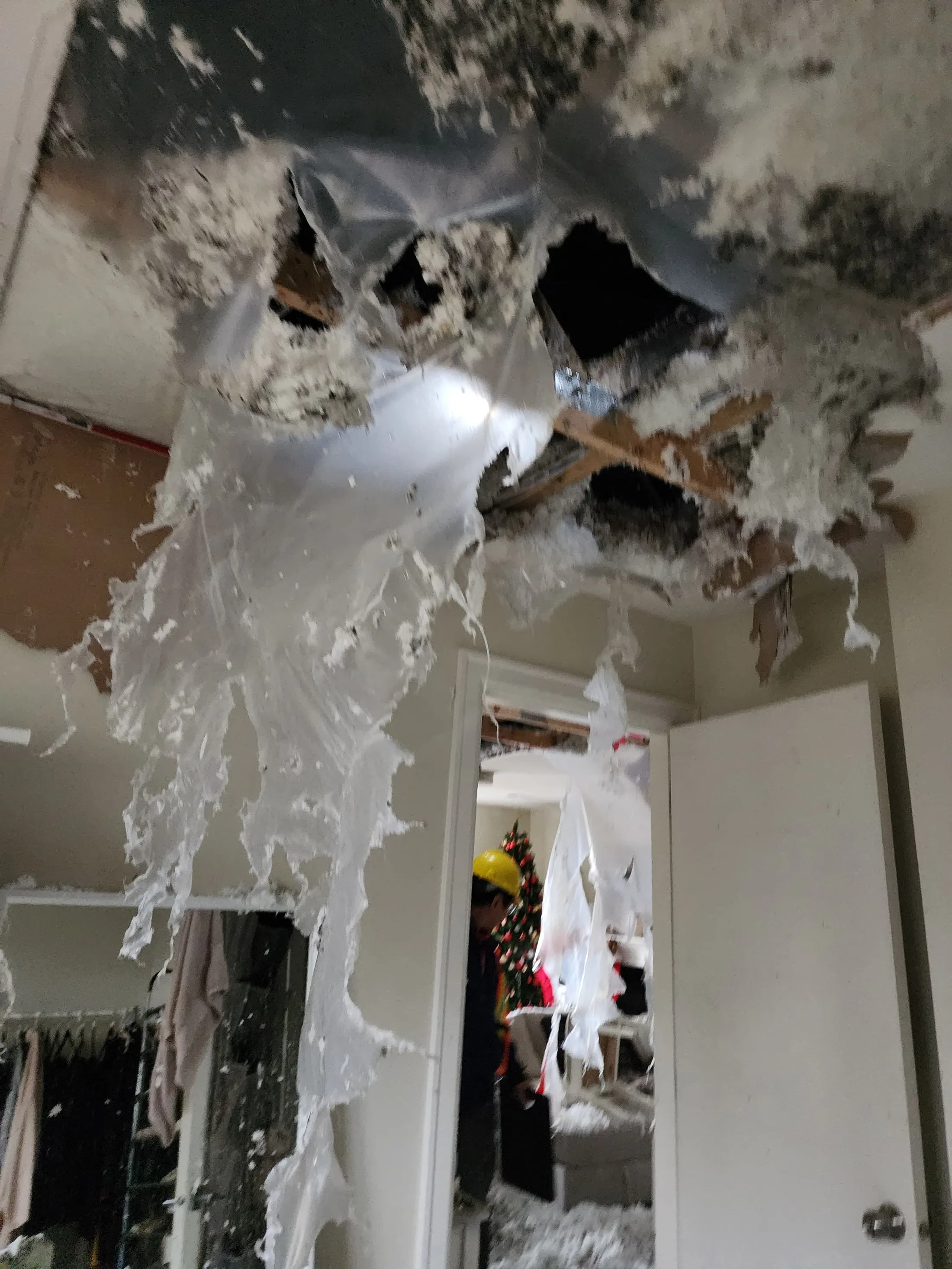 EPS fire restoration: before photograph 22