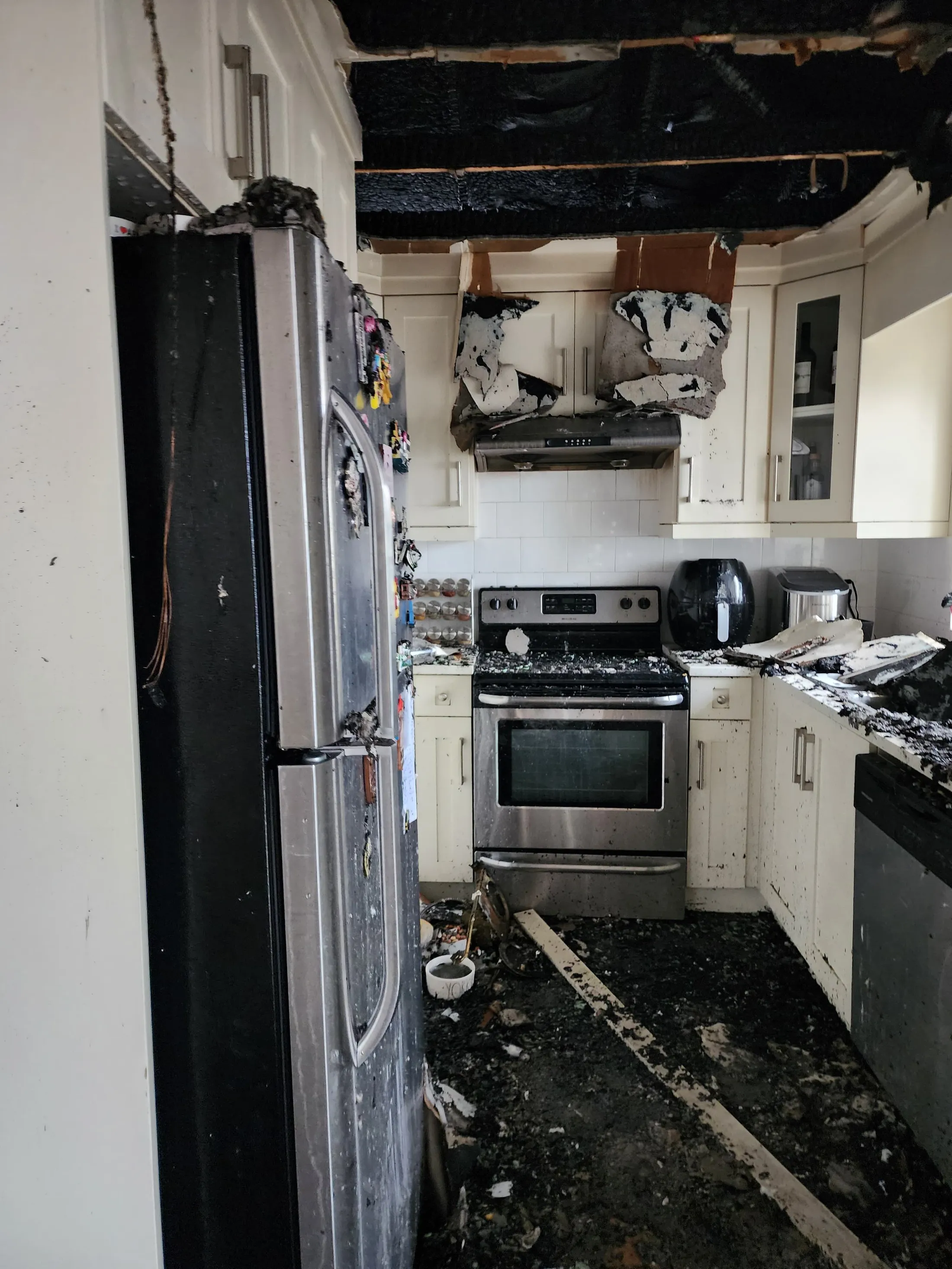 EPS fire restoration: before photograph 27