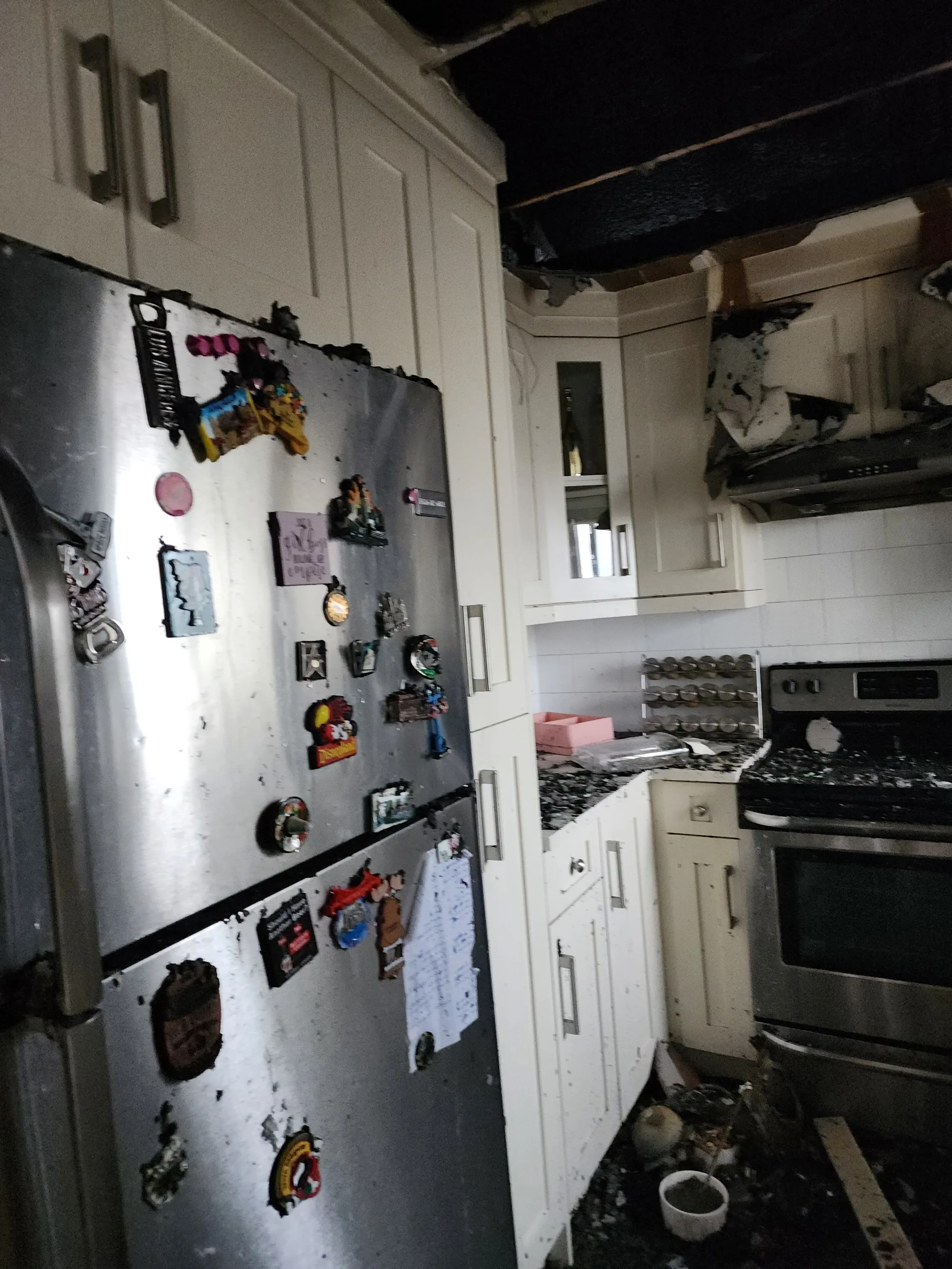 EPS fire restoration: before photograph 29