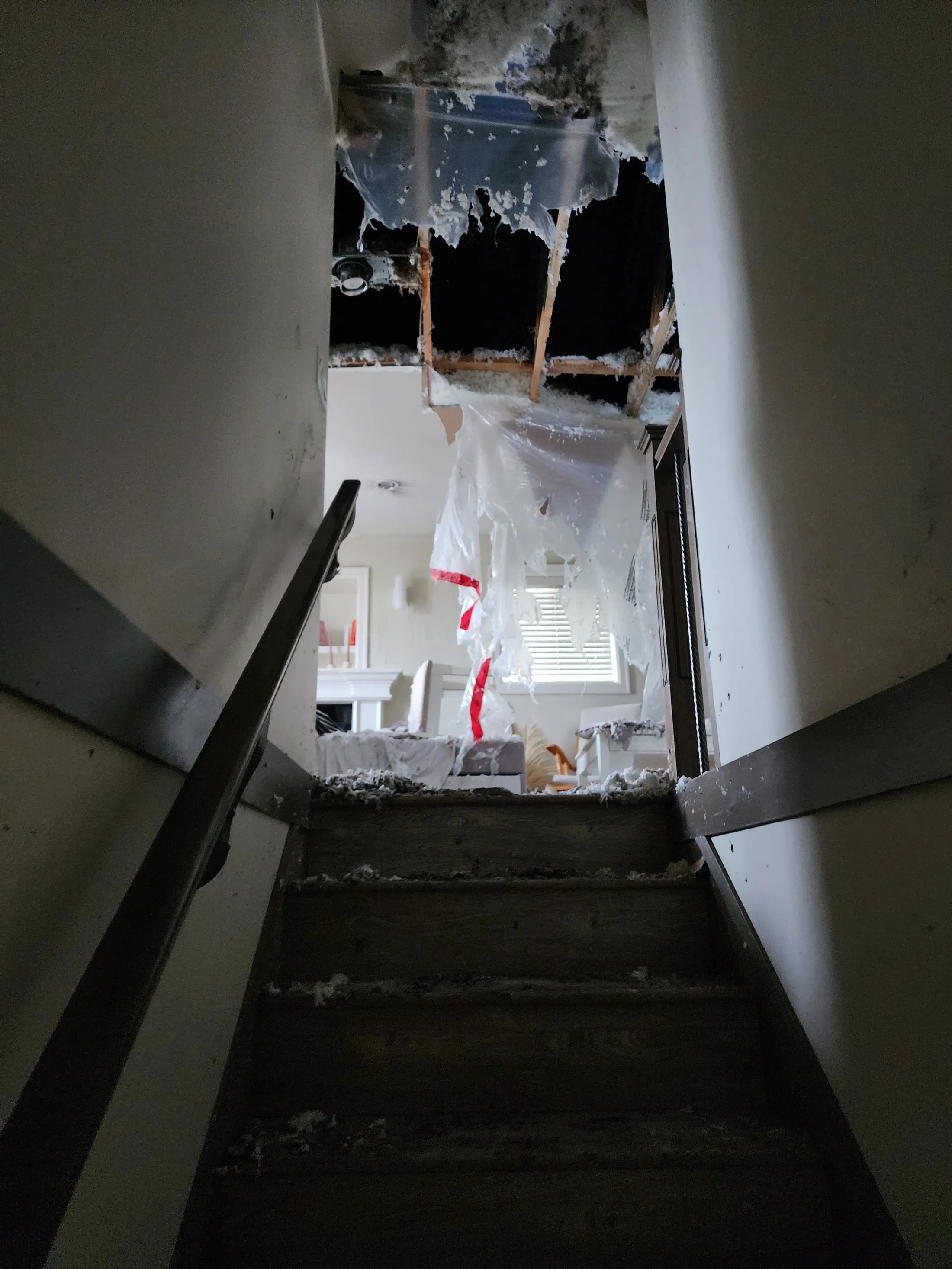 EPS fire restoration: before photograph 19