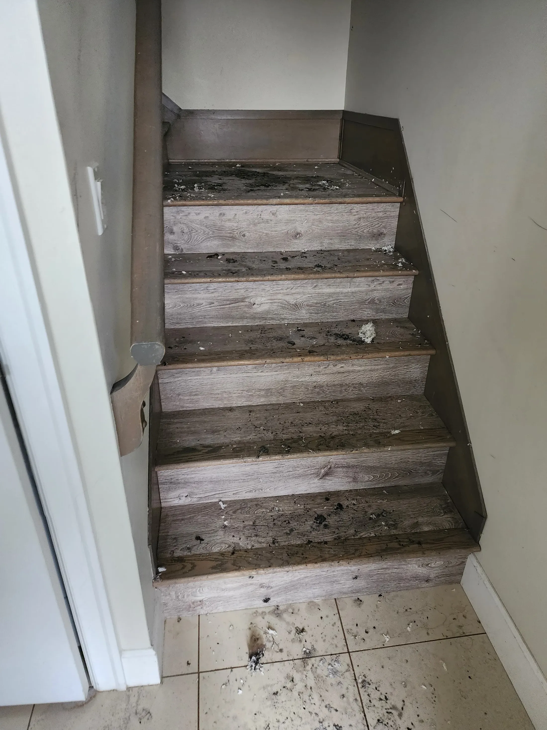 EPS fire restoration: before photograph 5